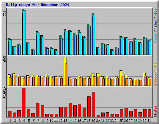 Daily usage for December 2024