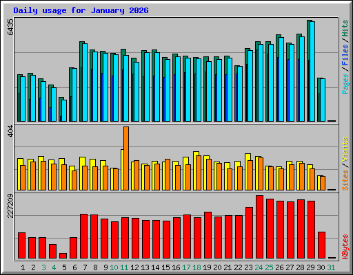 Daily usage for January 2026