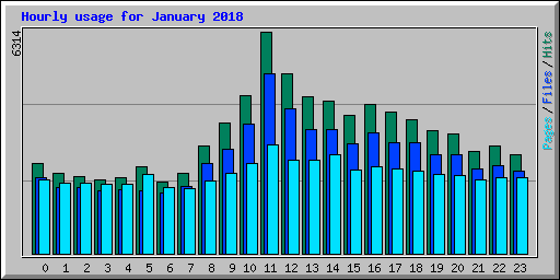 Hourly usage for January 2018