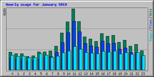 Hourly usage for January 2019