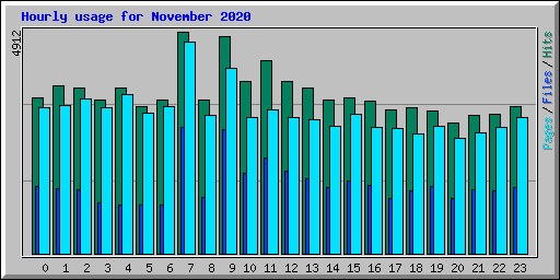 Hourly usage for November 2020
