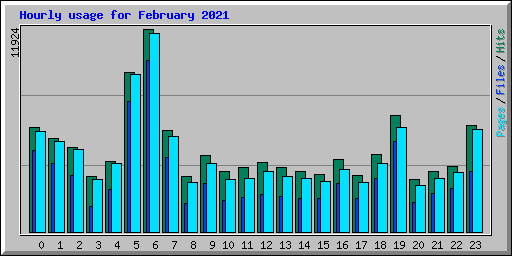 Hourly usage for February 2021