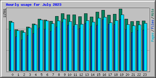 Hourly usage for July 2023