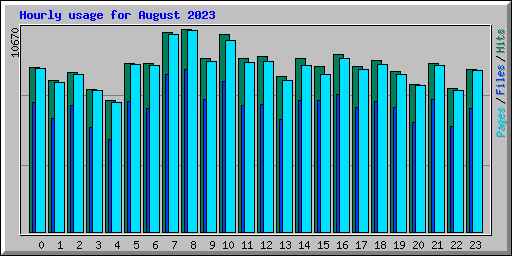 Hourly usage for August 2023