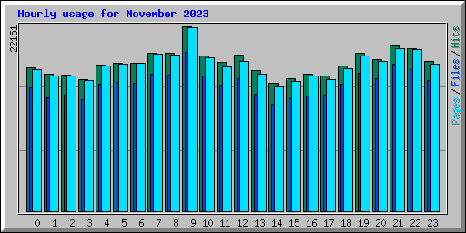 Hourly usage for November 2023