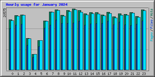 Hourly usage for January 2024
