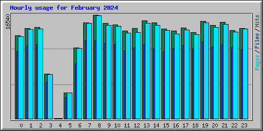 Hourly usage for February 2024