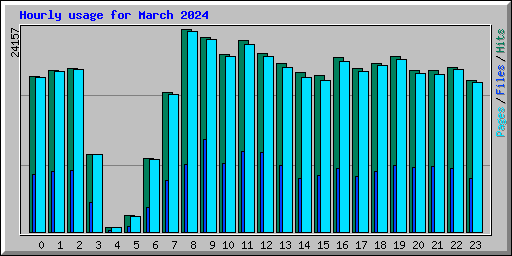 Hourly usage for March 2024
