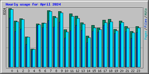 Hourly usage for April 2024