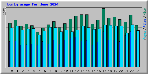 Hourly usage for June 2024