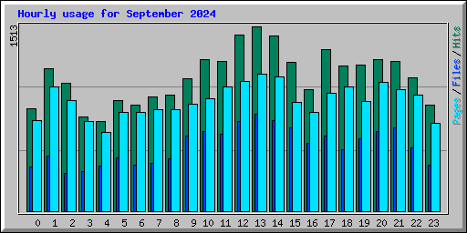 Hourly usage for September 2024