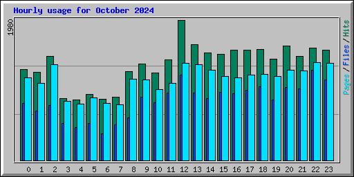 Hourly usage for October 2024