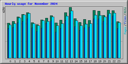 Hourly usage for November 2024