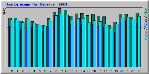 Hourly usage for December 2024