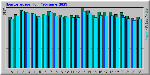 Hourly usage for February 2025