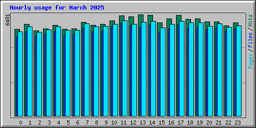 Hourly usage for March 2025
