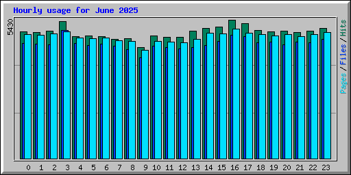 Hourly usage for June 2025