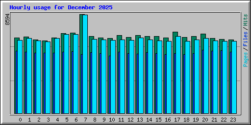 Hourly usage for December 2025
