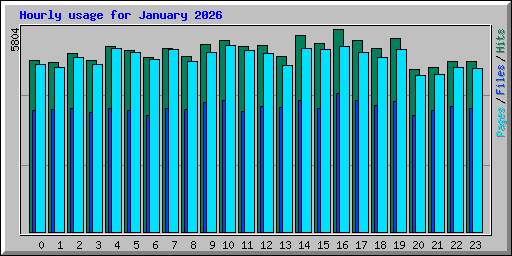 Hourly usage for January 2026